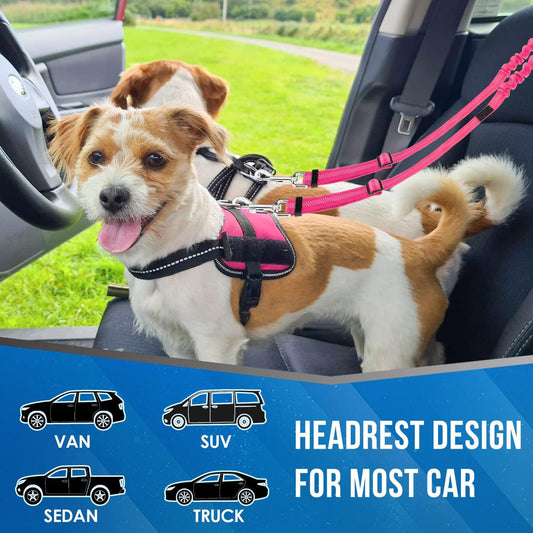 Dual Dog Car Seat Belt with Elastic Bungee - No Tangle 2-in-1 Pet Restraint Harness for 2 Dogs