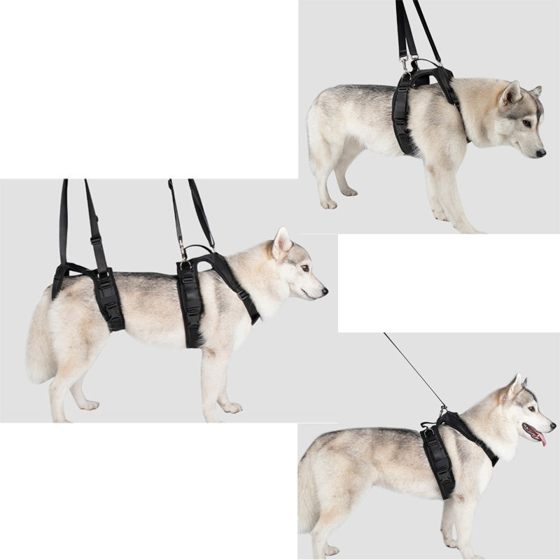 Tactical Dog Lift Harness – 2-in-1 Modular Front & Rear Leg Support for Senior, Recovering & Disabled Dogs