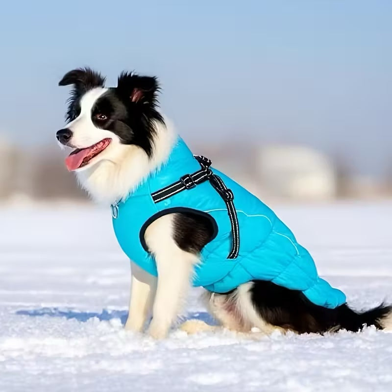 Adjustable Winter Dog Coat – Warm, Waterproof & Reflective