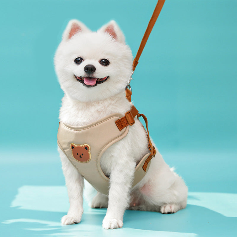 Cute Bear Adjustable Pet Harness with Free Leash