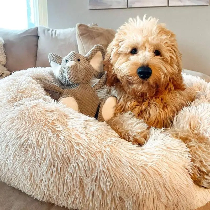 Cozy Anti-Anxiety Pet Bed