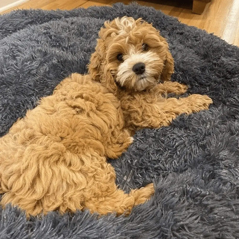 Cozy Anti-Anxiety Pet Bed