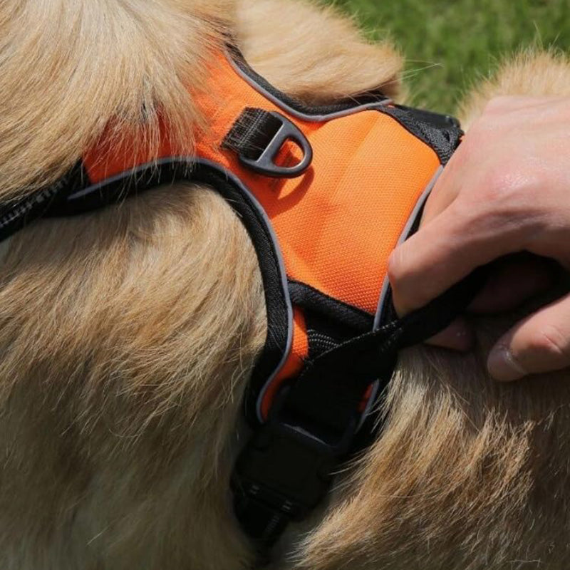 No Pull Dog Harness with  A Free Heavy Duty 5ft Dog Leash