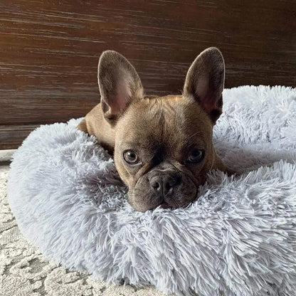 Cozy Anti-Anxiety Pet Bed