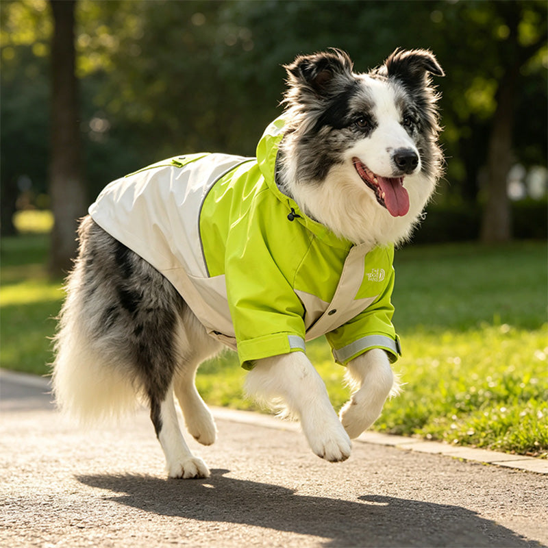 Waterproof Reflective Dog Rain Jacket