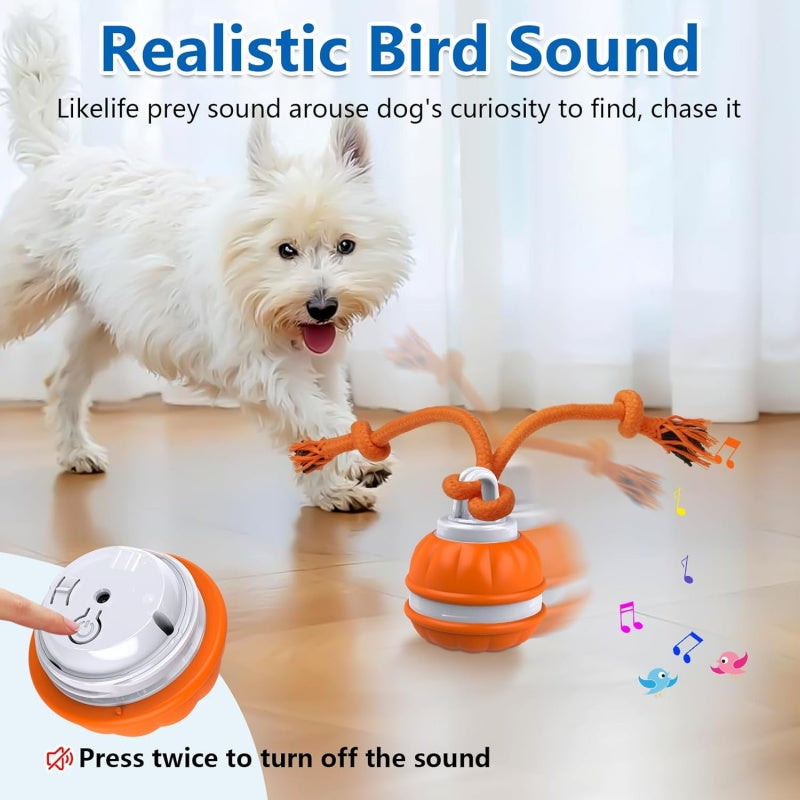 7 Reasons This Smart Interactive Ball Is Changing Dogs’ Lives — Happy, Active & Calm