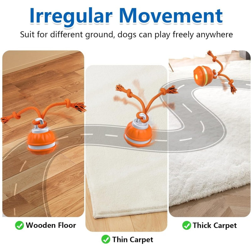 7 Reasons This Smart Interactive Ball Is Changing Dogs’ Lives — Happy, Active & Calm