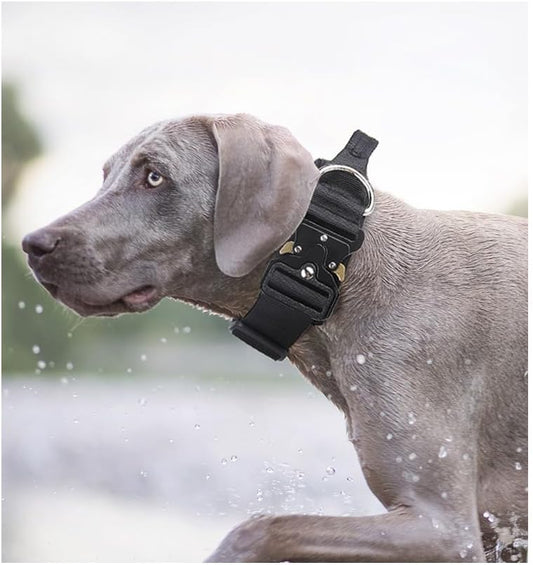 Tactical Dog Collar with Handle - Anti Pull