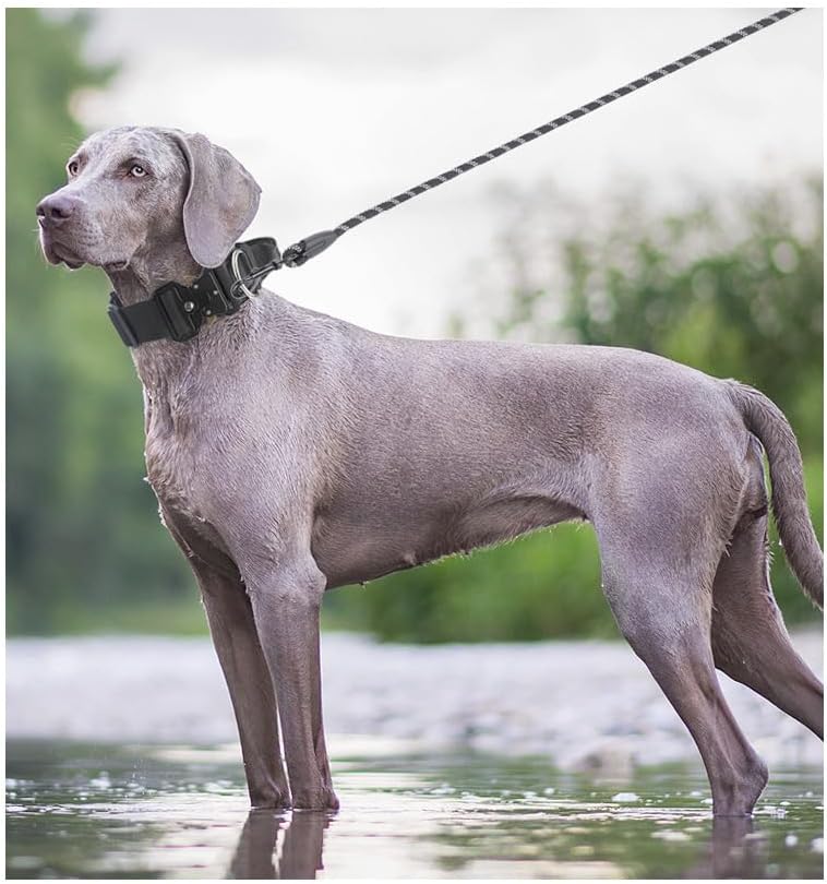 Tactical Dog Collar with Handle - Anti Pull