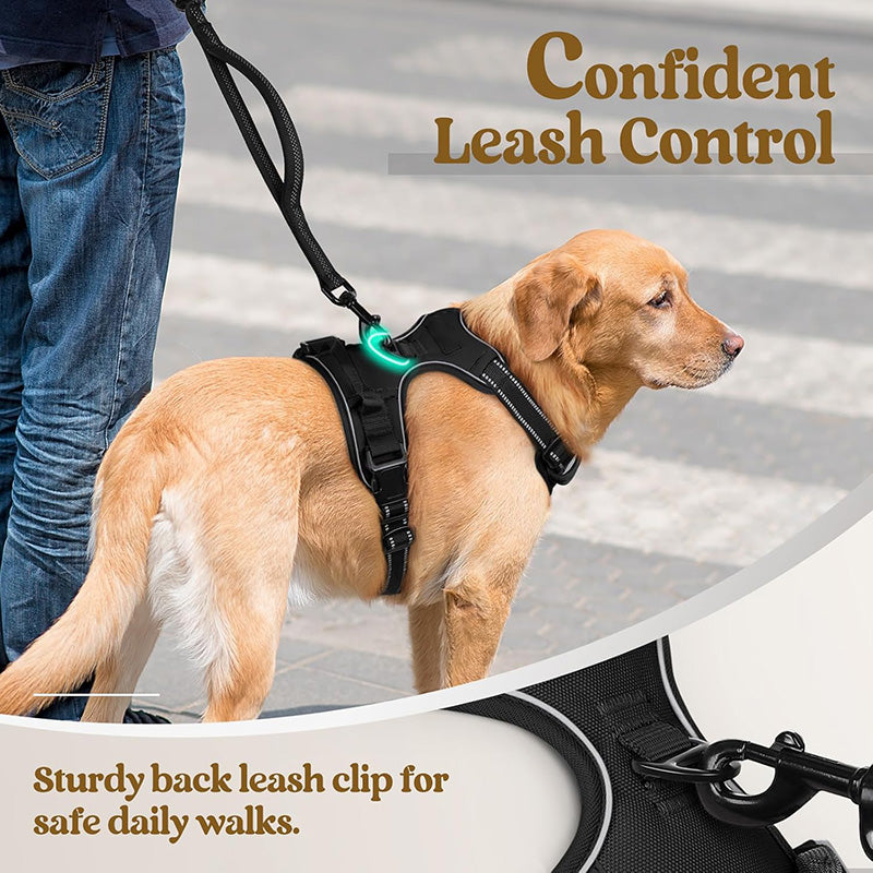 No Pull Dog Harness with  A Free Heavy Duty 5ft Dog Leash