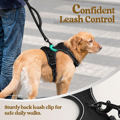 No Pull Dog Harness with  A Free Heavy Duty 5ft Dog Leash