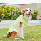 Ice Silk Sun Protection Quick Dry Dog T-Shirt
