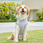 Ice Silk Sun Protection Quick Dry Dog T-Shirt