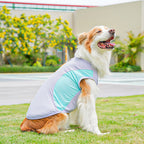 Ice Silk Sun Protection Quick Dry Dog T-Shirt