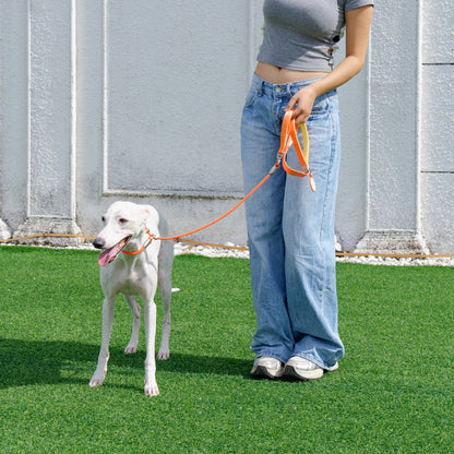 PRO Training Slip Lead (P-Rope)– 360° Anti-Tangle Swivel | Includes FREE Poop Bag Holder