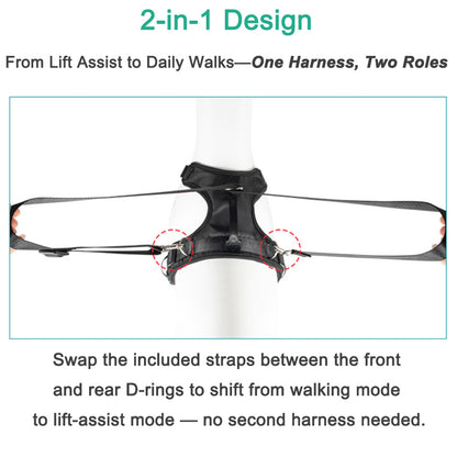 Tactical Dog Lift Harness – 2-in-1 Modular Front & Rear Leg Support for Senior, Recovering & Disabled Dogs