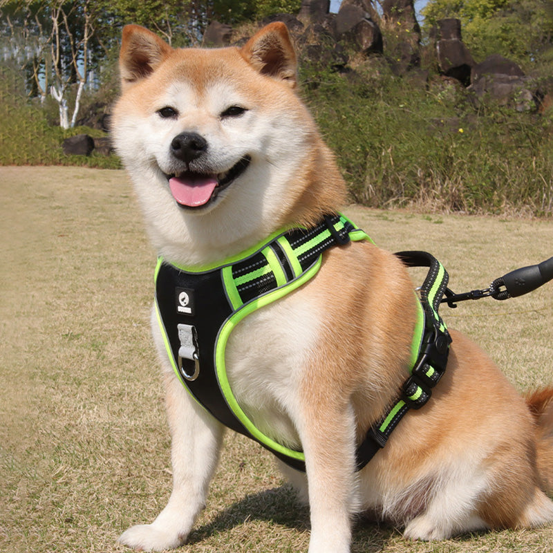 No-Pull Step-In Dog Harness – Adjustable Reflective Padded Vest