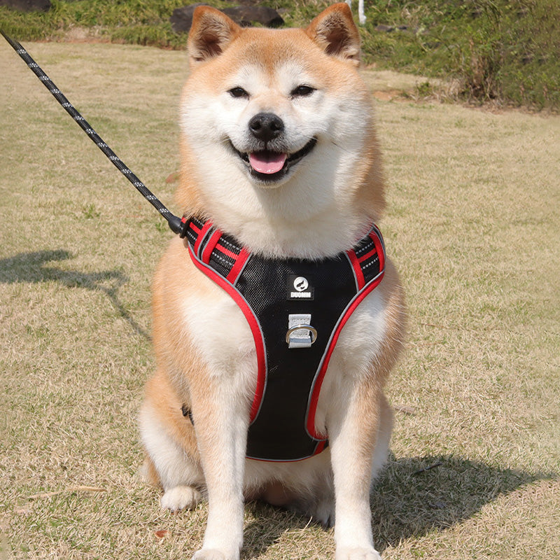 No-Pull Step-In Dog Harness – Adjustable Reflective Padded Vest