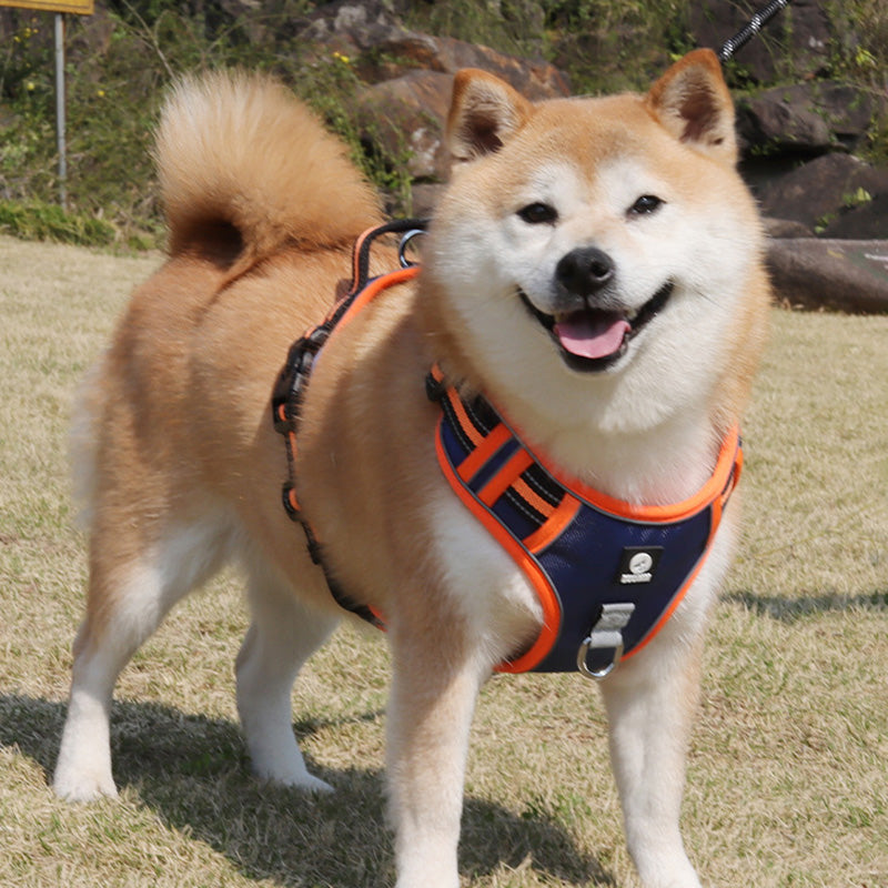 No-Pull Step-In Dog Harness – Adjustable Reflective Padded Vest