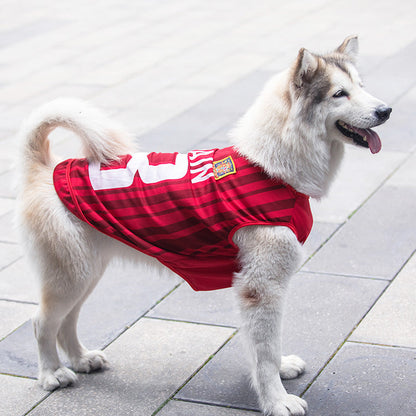 Dog Fan Jerseys (Soccer & Basketball Teams)