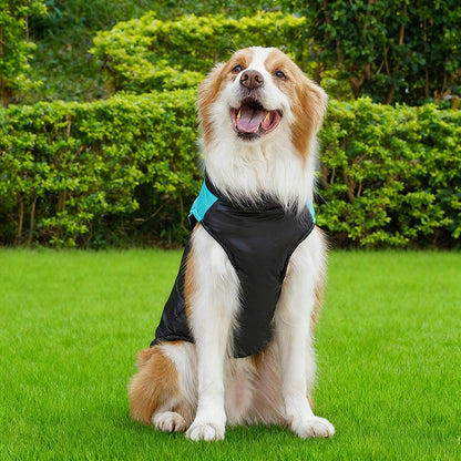 Warm Padded Dog Winter Jacket