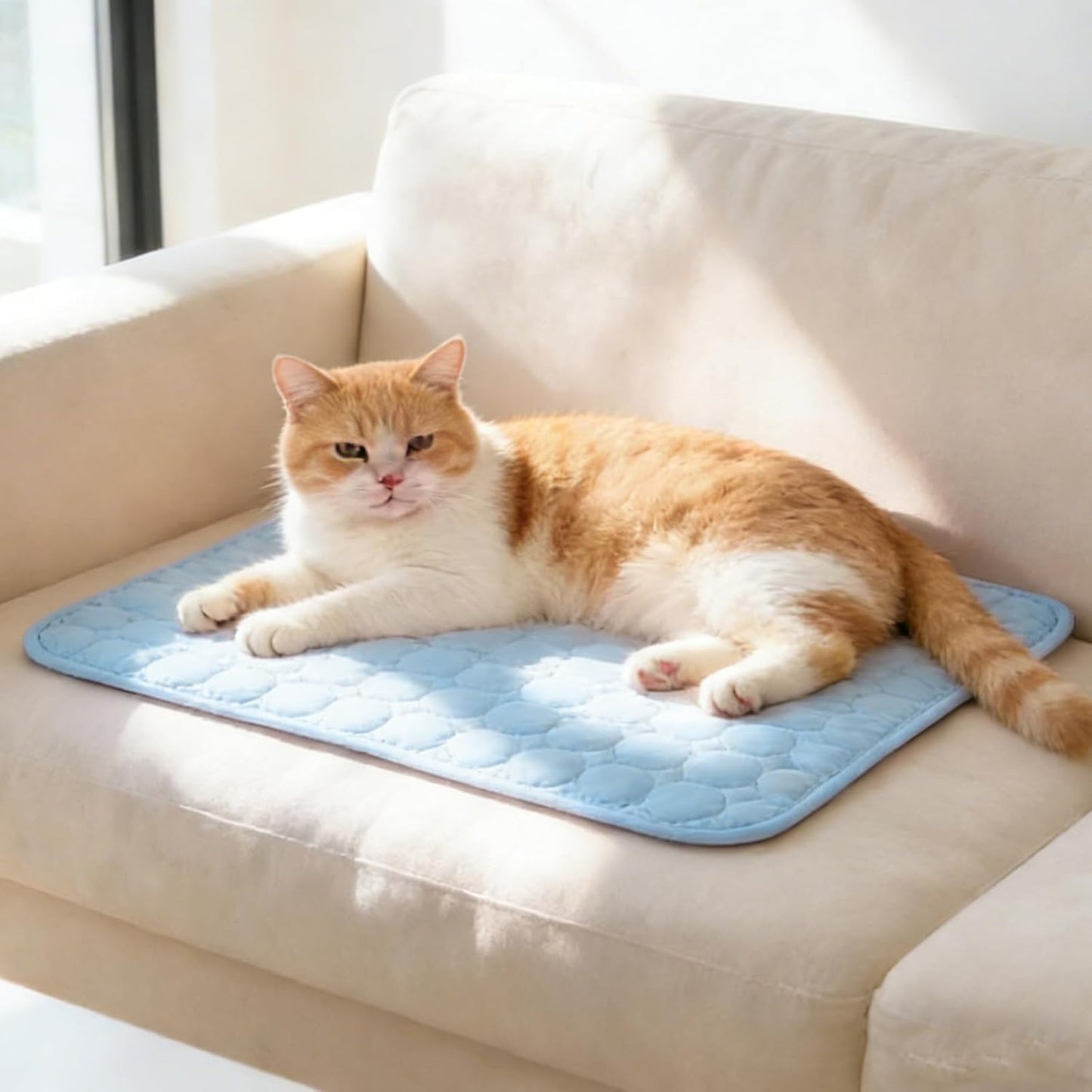 Pet Ice Silk Cooling Mat — Self-Cooling Summer Pad for Dogs & Cats