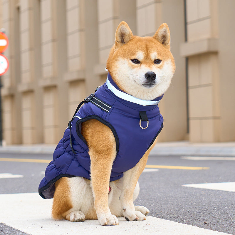 Adjustable Winter Dog Coat – Warm, Waterproof & Reflective