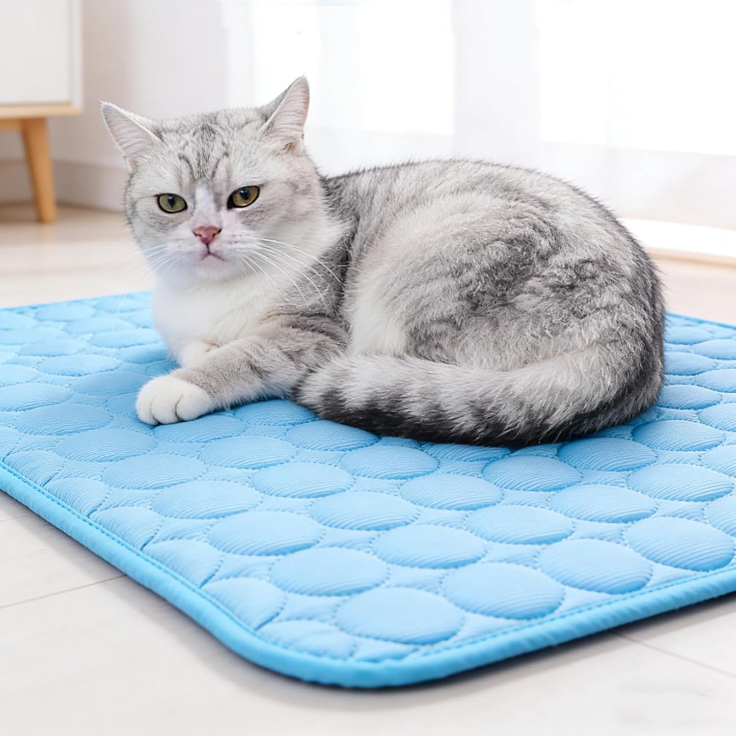 Pet Ice Silk Cooling Mat — Self-Cooling Summer Pad for Dogs & Cats