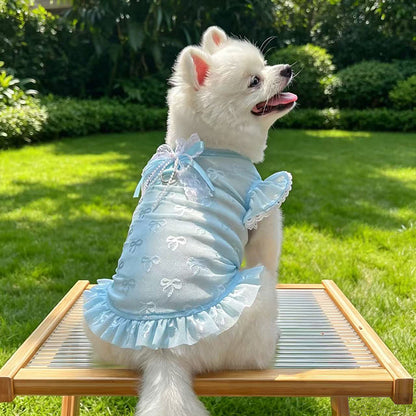 Pet Lace Mesh Dress with Bow & D-Ring