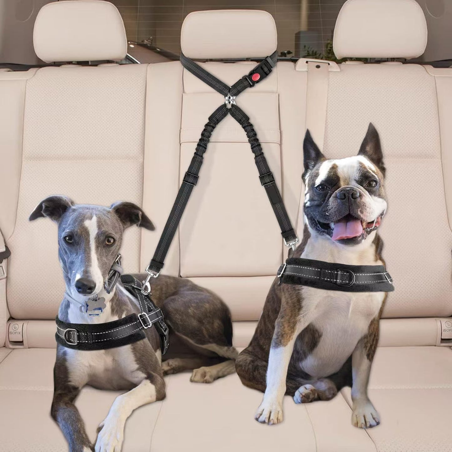 Dual Dog Car Seat Belt with Elastic Bungee - No Tangle 2-in-1 Pet Restraint Harness for 2 Dogs