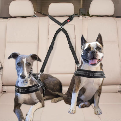 Dual Dog Car Seat Belt with Elastic Bungee - No Tangle 2-in-1 Pet Restraint Harness for 2 Dogs