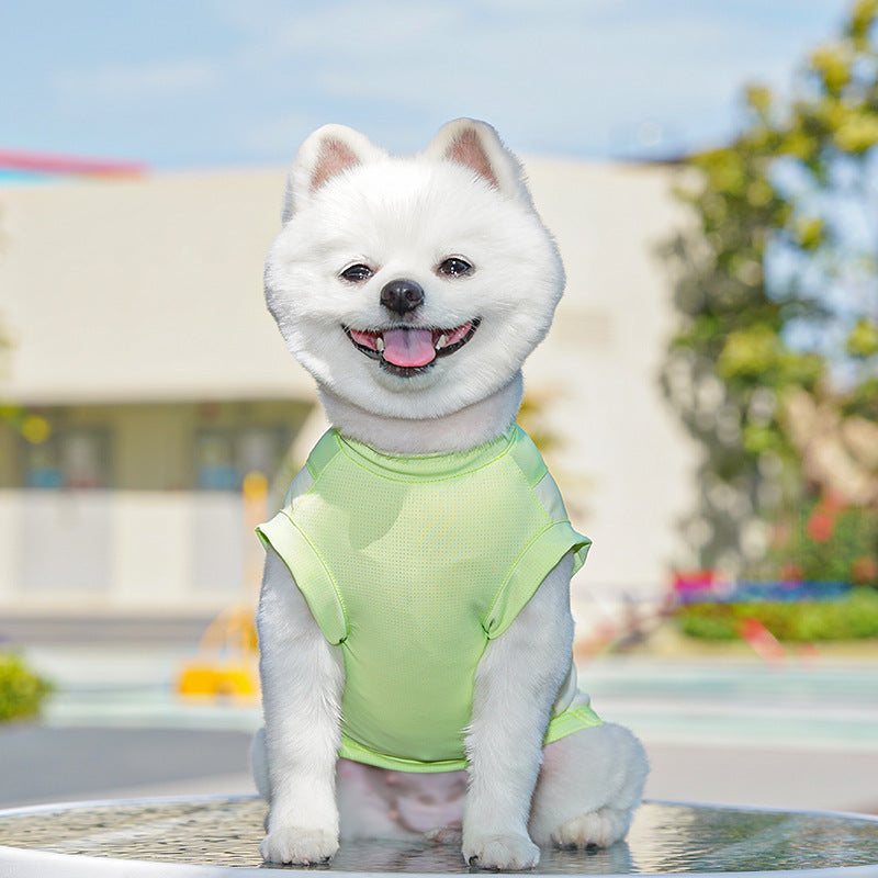 Ice Silk Sun Protection Quick Dry Dog T-Shirt