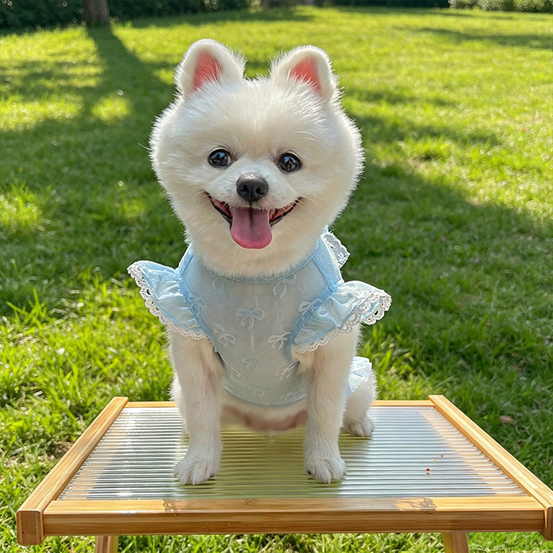 Pet Lace Mesh Dress with Bow & D-Ring