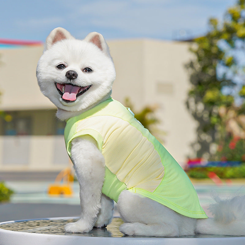 Ice Silk Sun Protection Quick Dry Dog T-Shirt