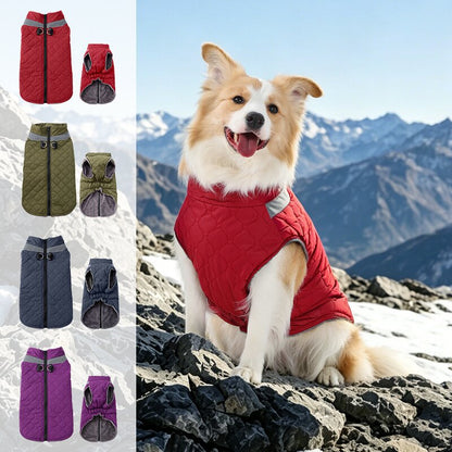 The Ultimate Winter Vest for Dogs: Windproof & Ultra-Warm