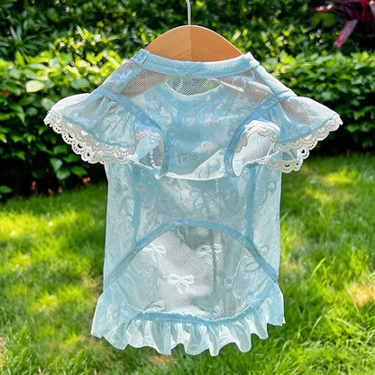 Pet Lace Mesh Dress with Bow & D-Ring