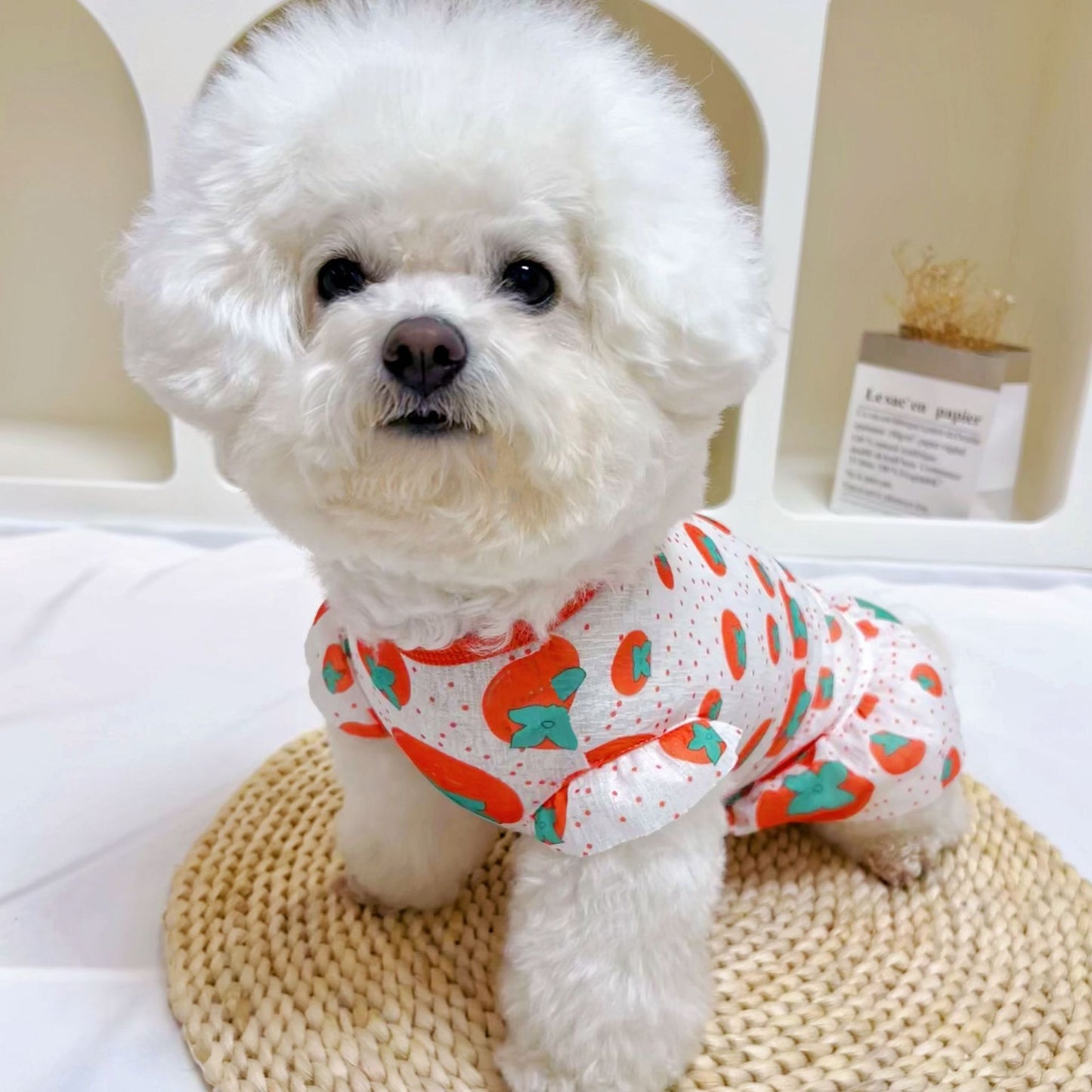 Summer Thin Pet Sun Protection Vest – Anti-Shedding Dog & Cat Dress for Small/Medium/Large Breeds