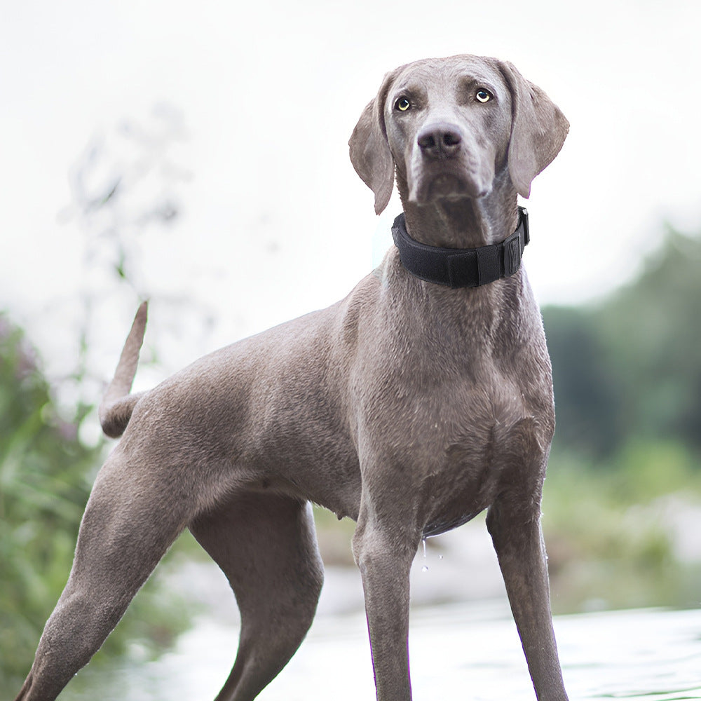 Tactical Dog Collar with Handle - Anti Pull
