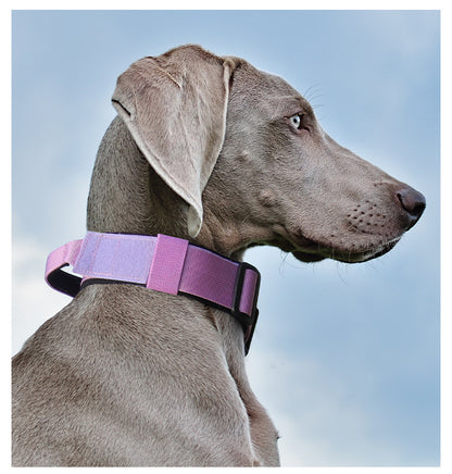 Tactical Dog Collar with Handle - Anti Pull