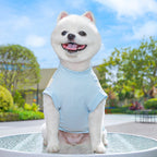 Ice Silk Sun Protection Quick Dry Dog T-Shirt