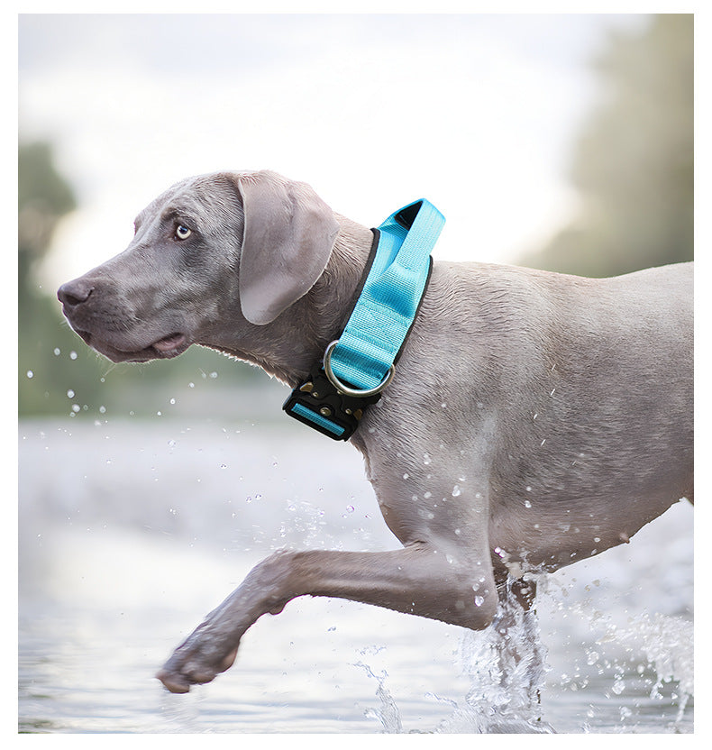 Tactical Dog Collar with Handle - Anti Pull