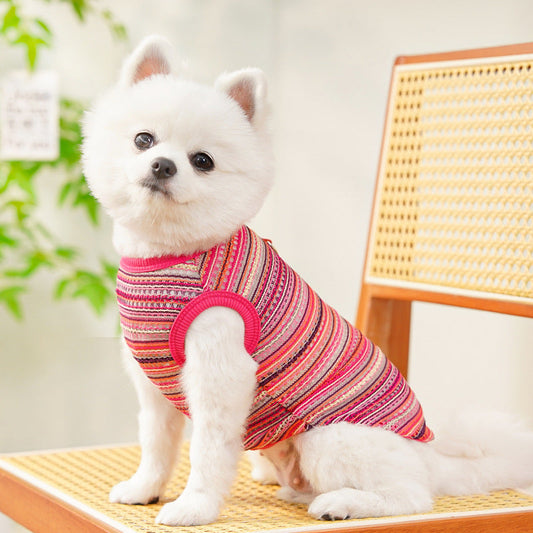 Summer Breeze Striped Pet Harness Shirt