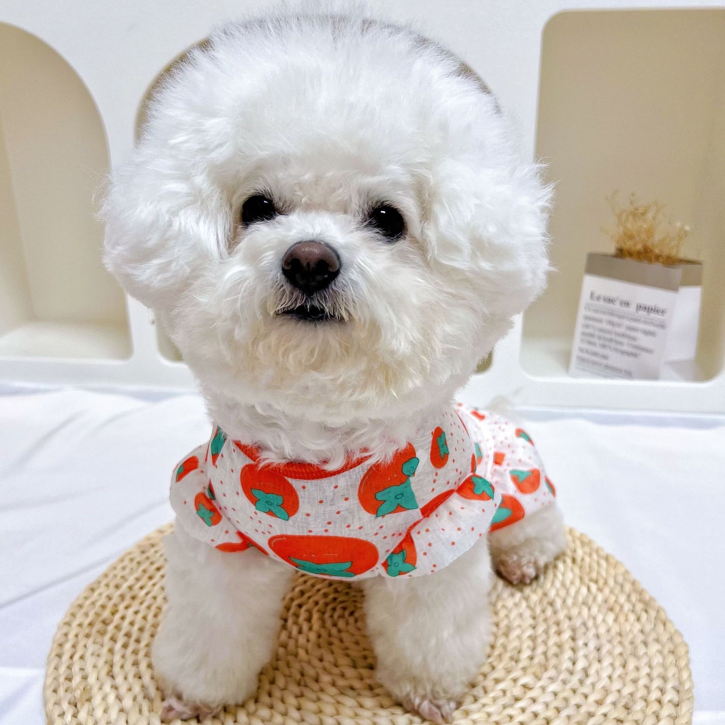 Summer Thin Pet Sun Protection Vest – Anti-Shedding Dog & Cat Dress for Small/Medium/Large Breeds