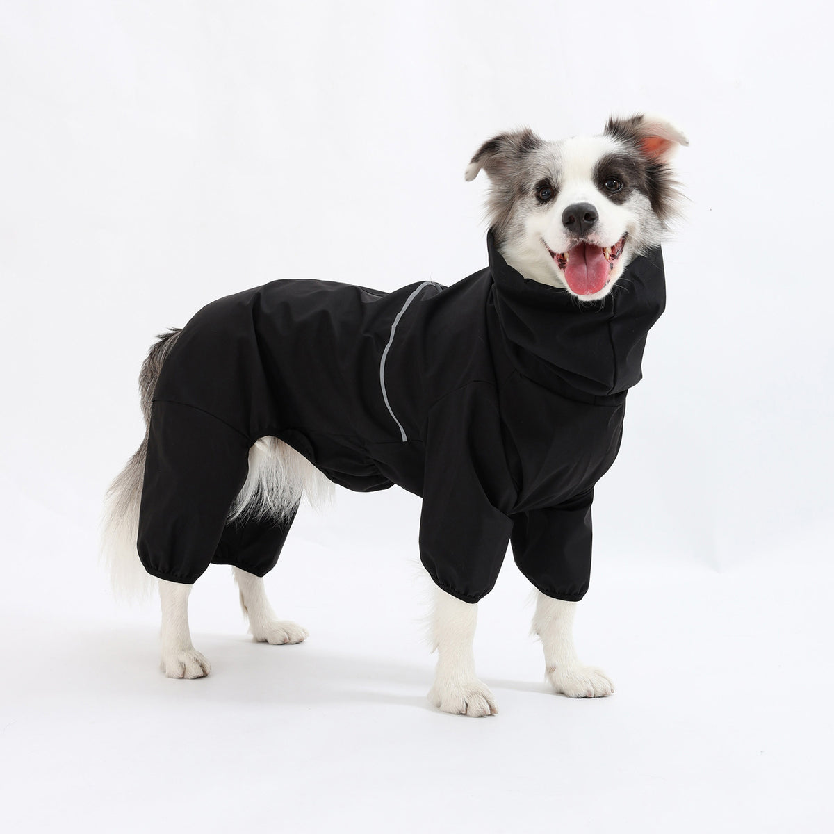 Waterproof Dog Rain Suit | Full-Body Rain & Mud Protection