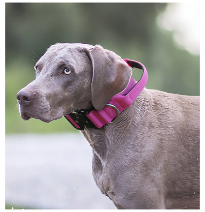 Tactical Dog Collar with Handle - Anti Pull