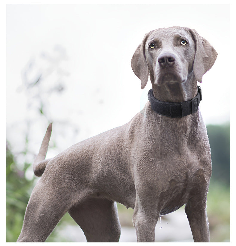 Tactical Dog Collar with Handle - Anti Pull