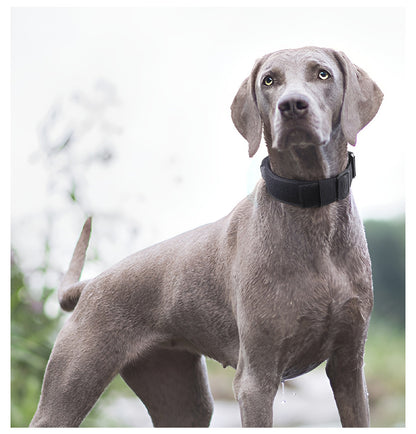 Tactical Dog Collar with Handle - Anti Pull