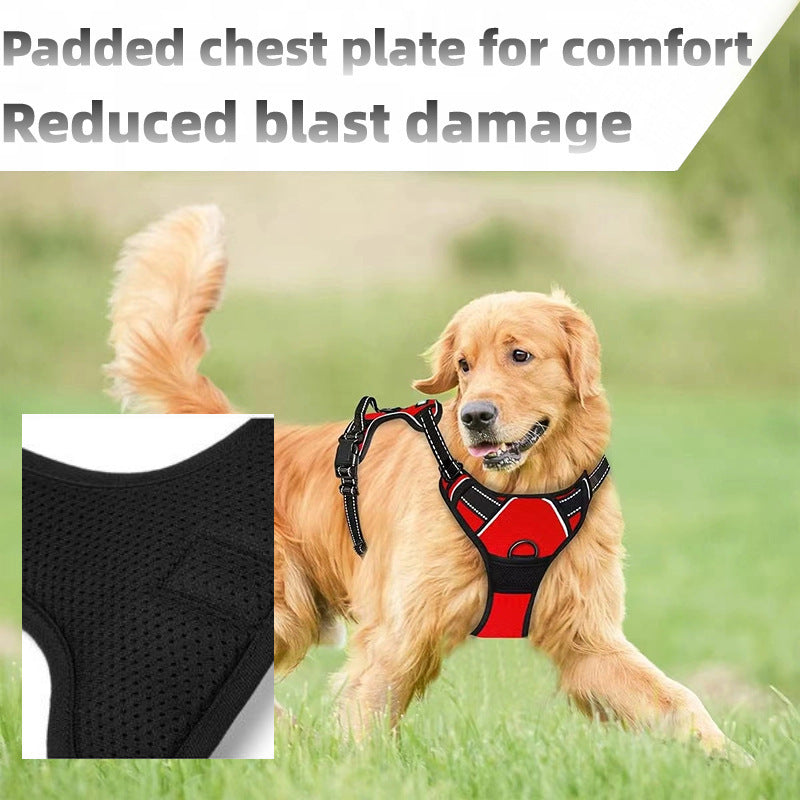 No Pull Dog Harness with  A Free Heavy Duty 5ft Dog Leash