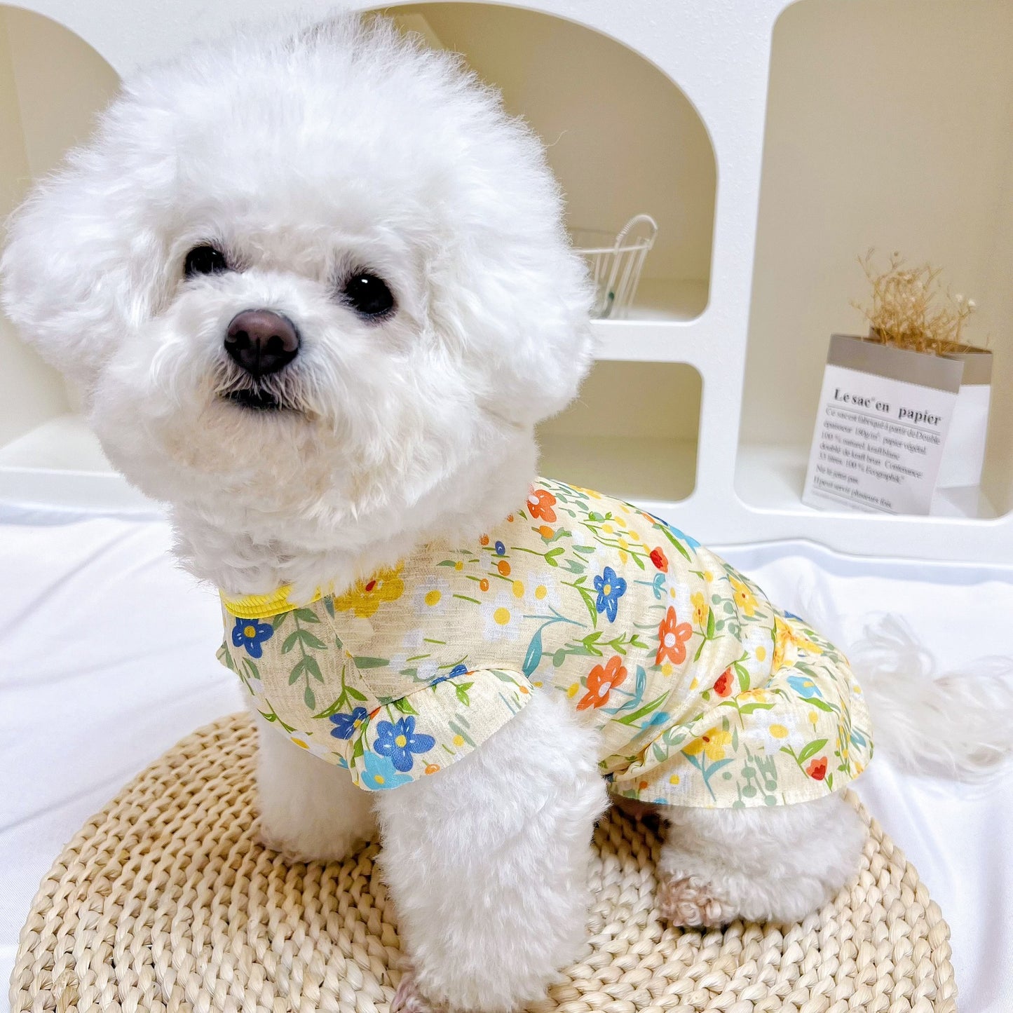 Summer Thin Pet Sun Protection Vest – Anti-Shedding Dog & Cat Dress for Small/Medium/Large Breeds