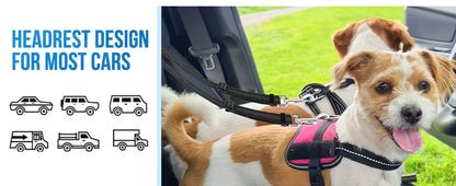 Dual Dog Car Seat Belt with Elastic Bungee - No Tangle 2-in-1 Pet Restraint Harness for 2 Dogs